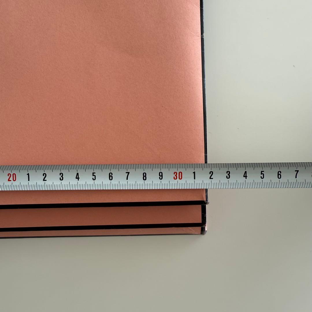 Acne Studios ショッピングバッグ 25枚セット