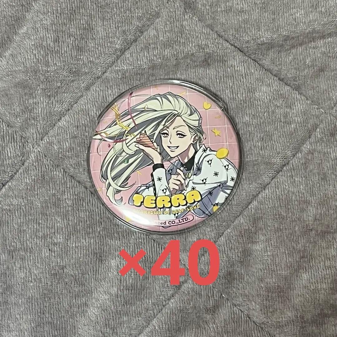 カリスマ テラ 2周年 缶バッジ ×40
