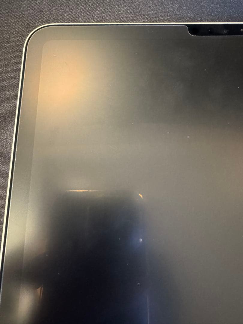 iPad Pro 11インチ 第1世代 Wi-Fi+Cellular 256GB