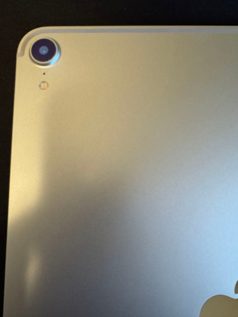 iPad Pro 11インチ 第1世代 Wi-Fi+Cellular 256GB