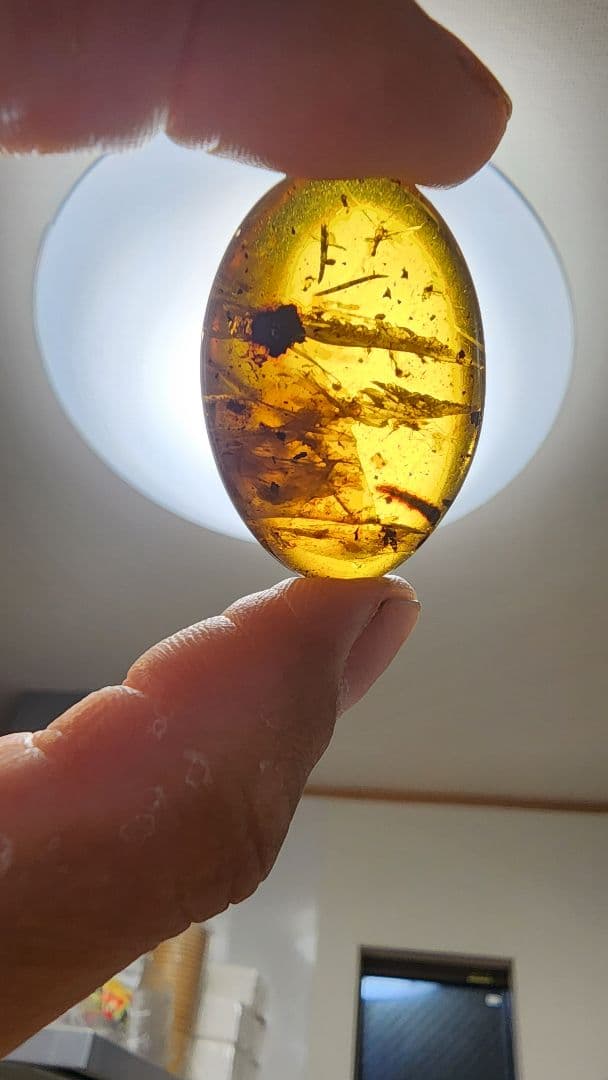 アンバー　琥珀のコレクション ダイヤモンド型フレーム付き