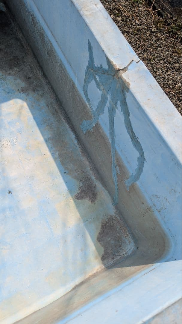 中古大型プラスチック水槽 コンテナ水槽 錦鯉 金魚