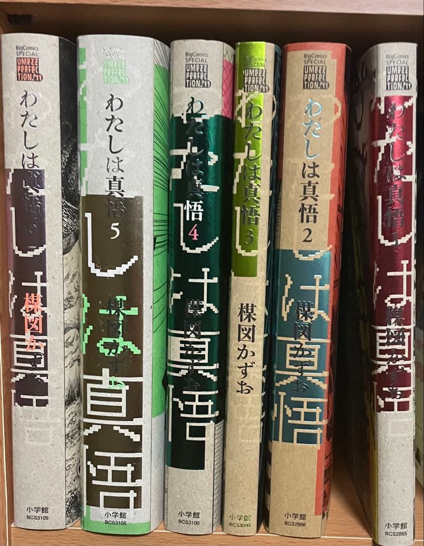 わたしは真悟　楳図perfection 全巻 楳図かずお