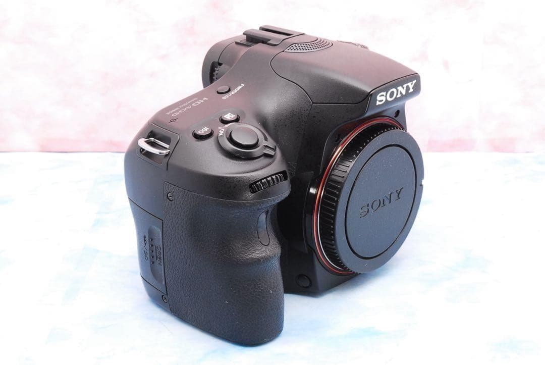 ソニー α65★一眼レフカメラ★高速連写＆高画質★超望遠レンズ付Wレンズ