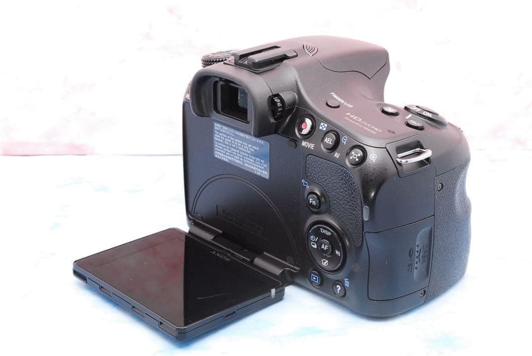 ソニー α65★一眼レフカメラ★高速連写＆高画質★超望遠レンズ付Wレンズ