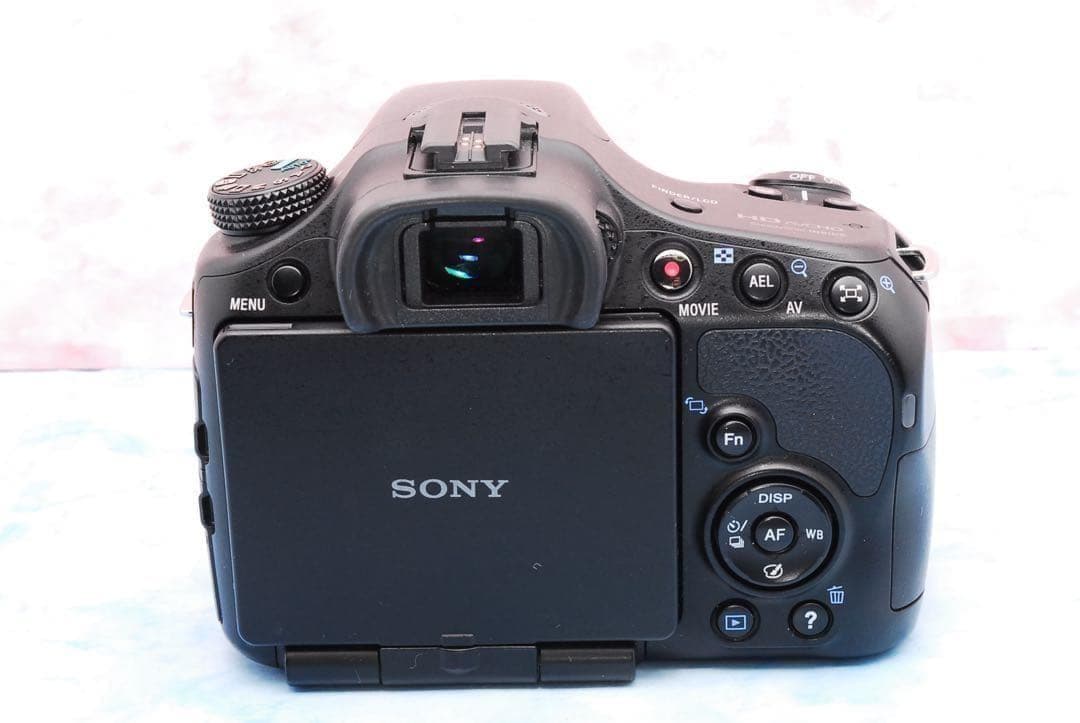 ソニー α65★一眼レフカメラ★高速連写＆高画質★超望遠レンズ付Wレンズ