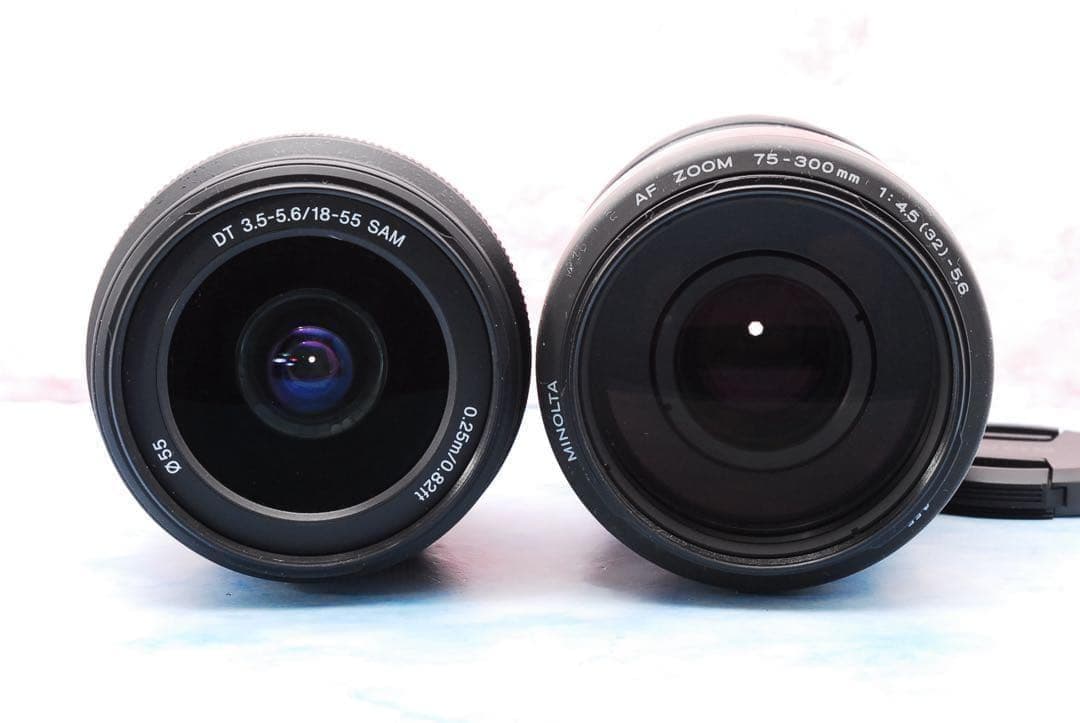 ソニー α65★一眼レフカメラ★高速連写＆高画質★超望遠レンズ付Wレンズ