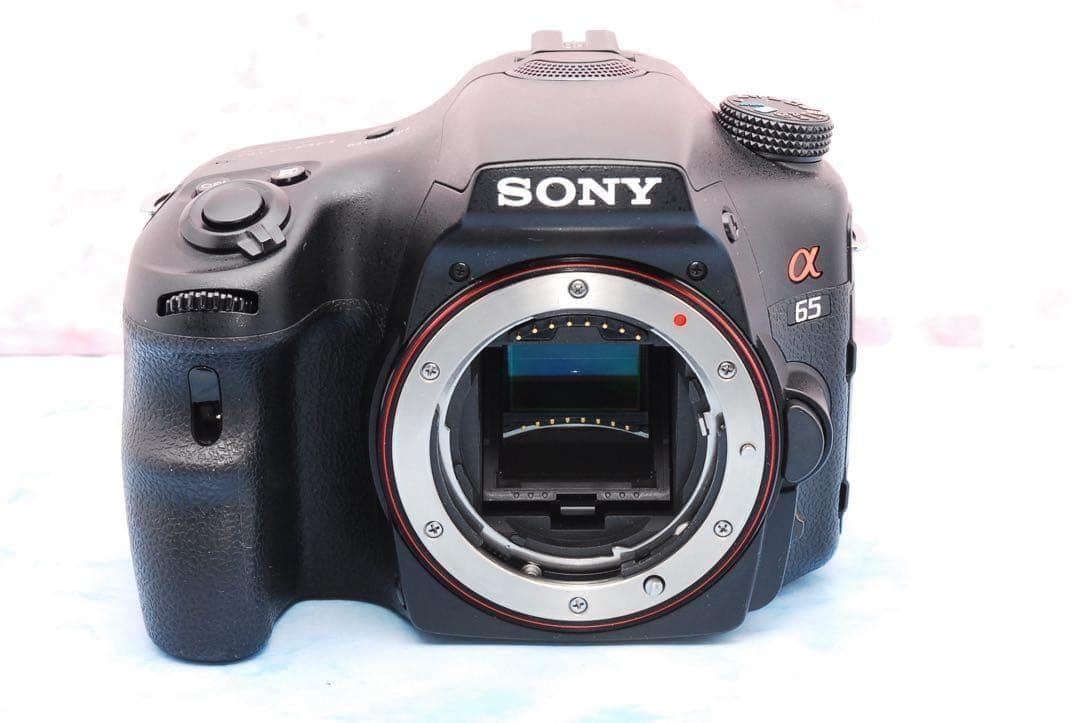 ソニー α65★一眼レフカメラ★高速連写＆高画質★超望遠レンズ付Wレンズ