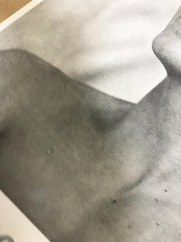 Book of Photographs ブルースウェーバー アート ポスター