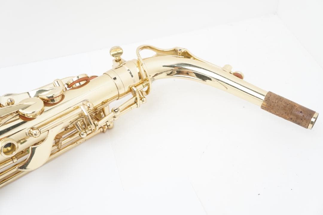 ジャンク品扱い Selva サックス