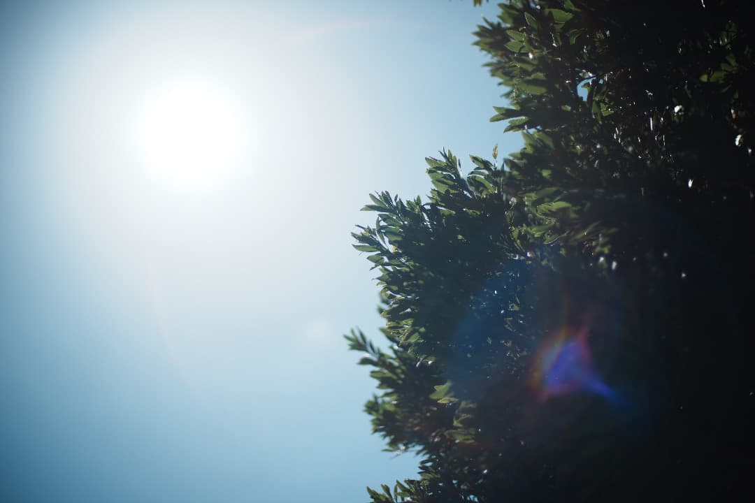 アダプターCarl Zeiss Planar 50mm F1.4 MMJ 762