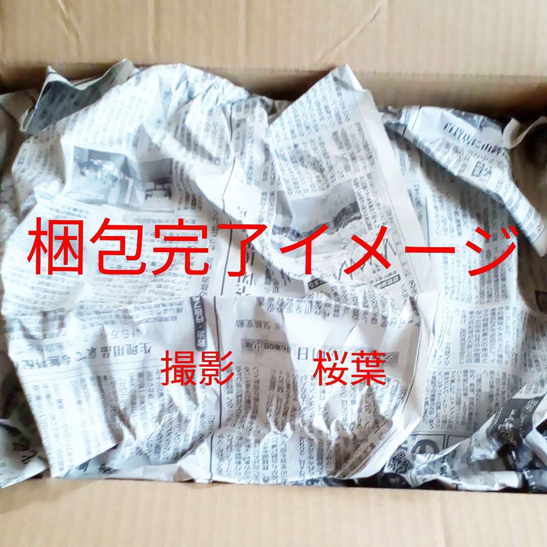 msv ガンプラ rg シンマツナガ 専用 高機動型 ザクII 未組立