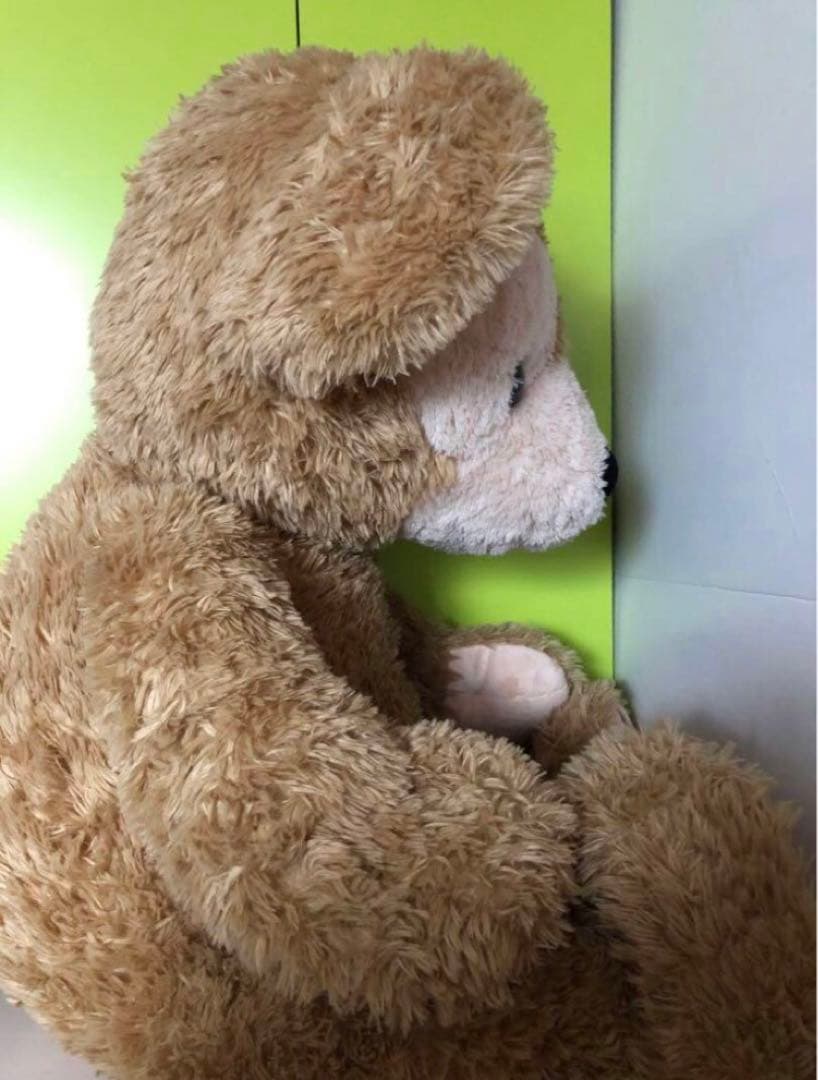 TDS ダッフィー ぬいぐるみ 特大 Lサイズ 旧LL レアDuffy