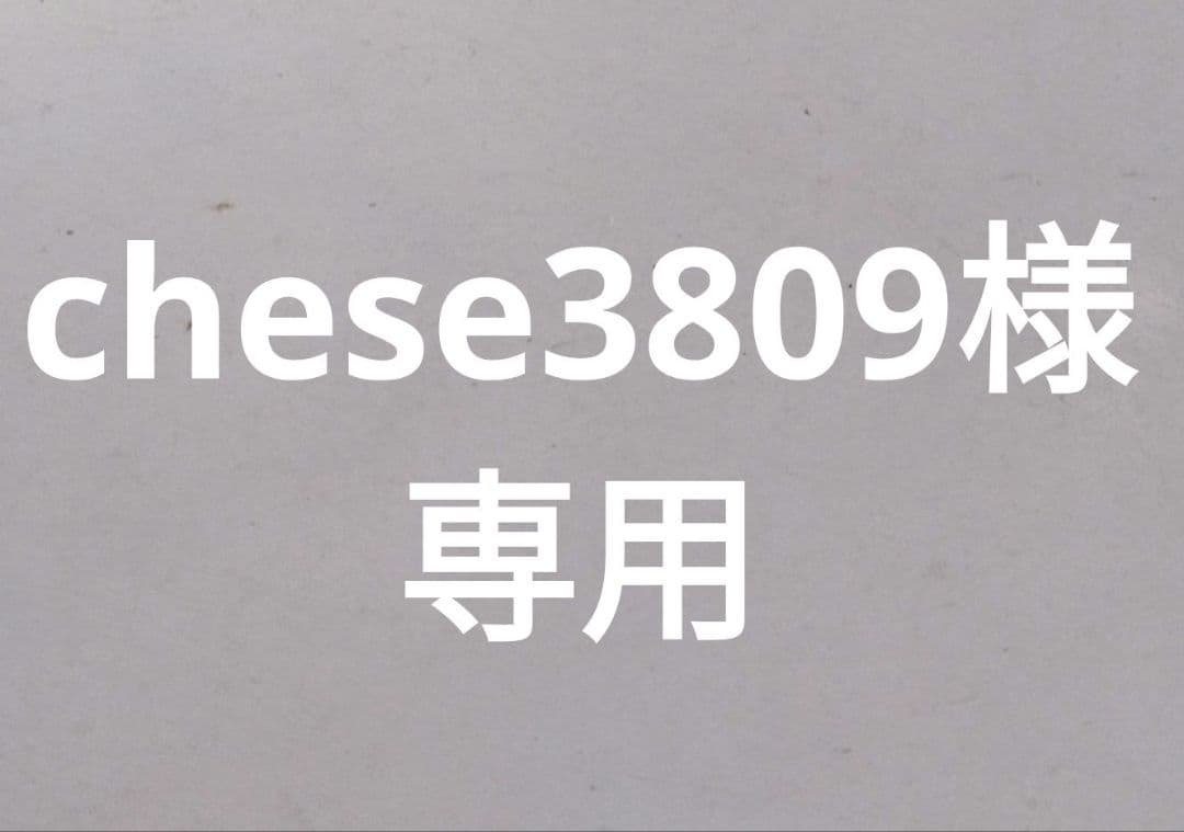 chese3809　古余呂技竹春造 丸皿２枚
