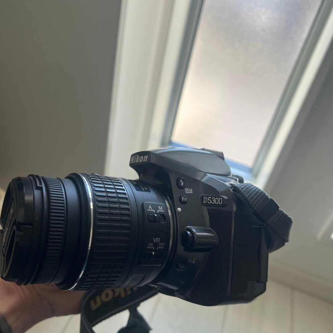 Nikon d5300 希少カラーグレー
