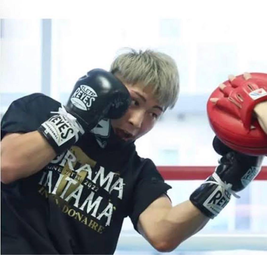 【新品未使用】レイジェス・REYES セーフテック紐式ボクシンググローブ10oz