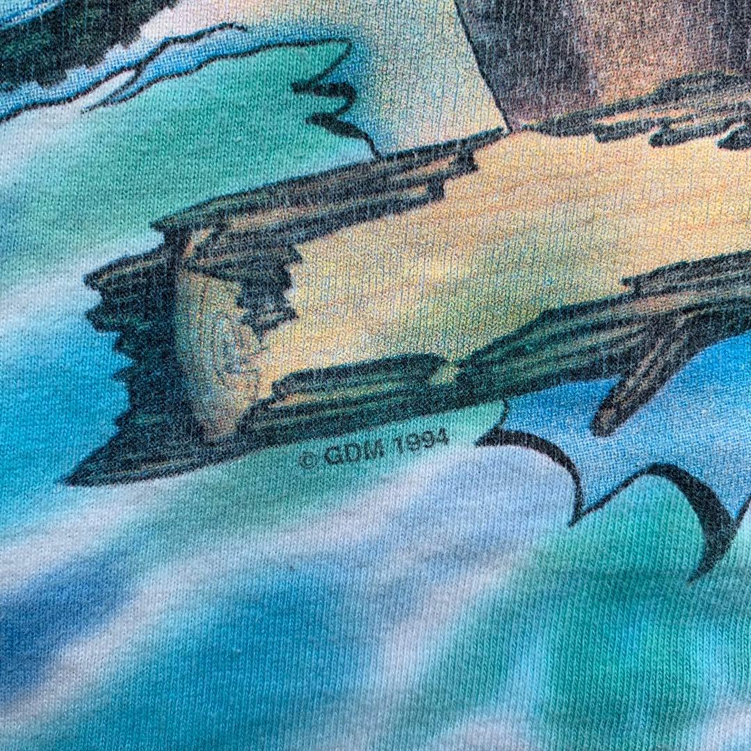 1994's used グレイトフル・デッド　コスミックチャーリー　TEE