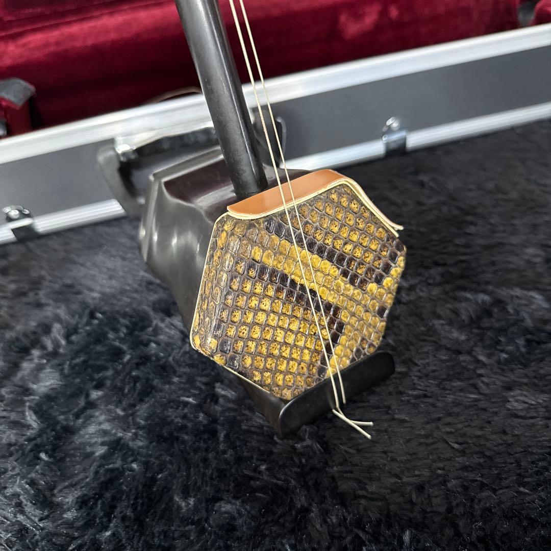 高級 二胡 天華之韻 弦楽器 民族楽器 ハードケース 弓付属