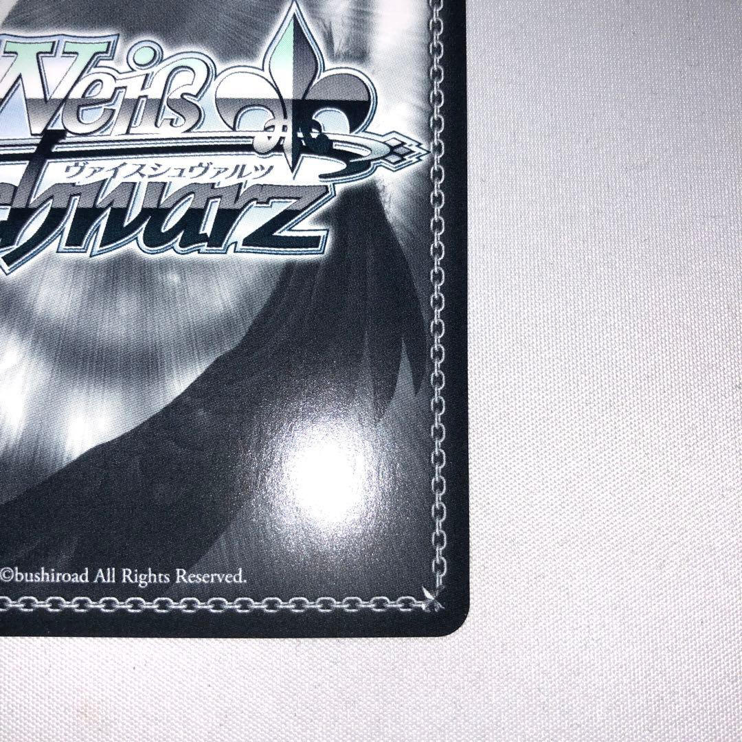 小鳥遊ホシノ 水着 sp ブルーアーカイブ ホシノ サイン