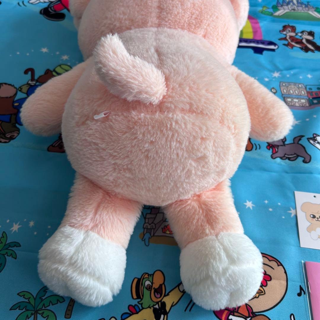 SKZ テディベア ぬいぐるみ teddybear パピーム スンミン