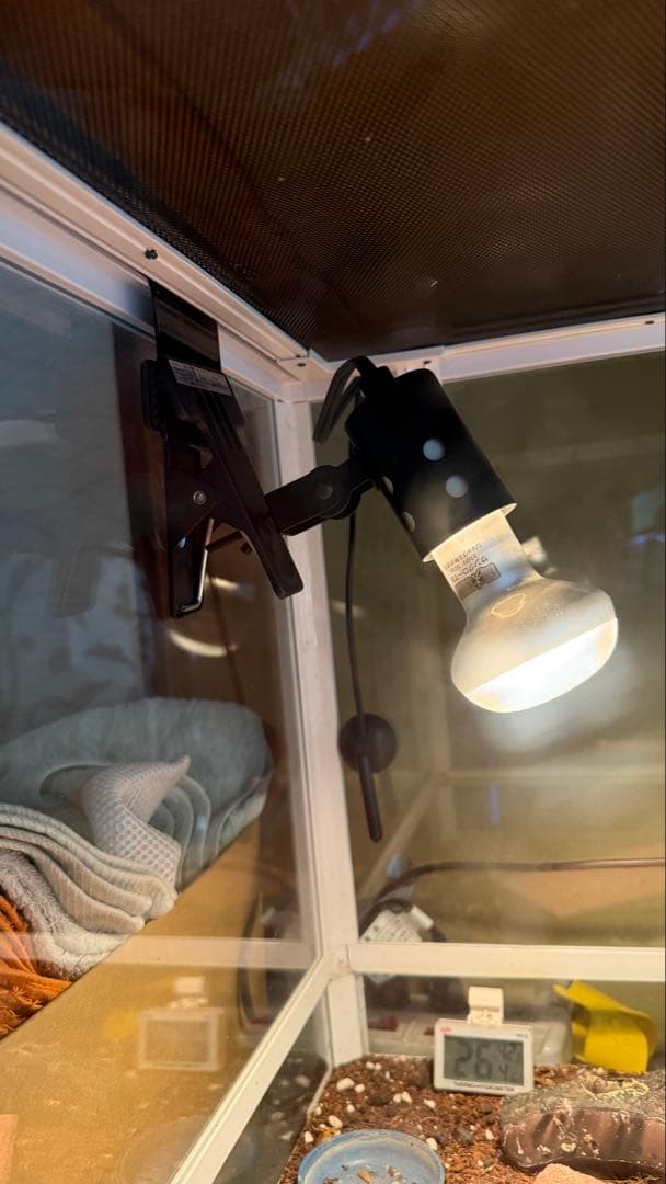 飼育ケージ 用品セット