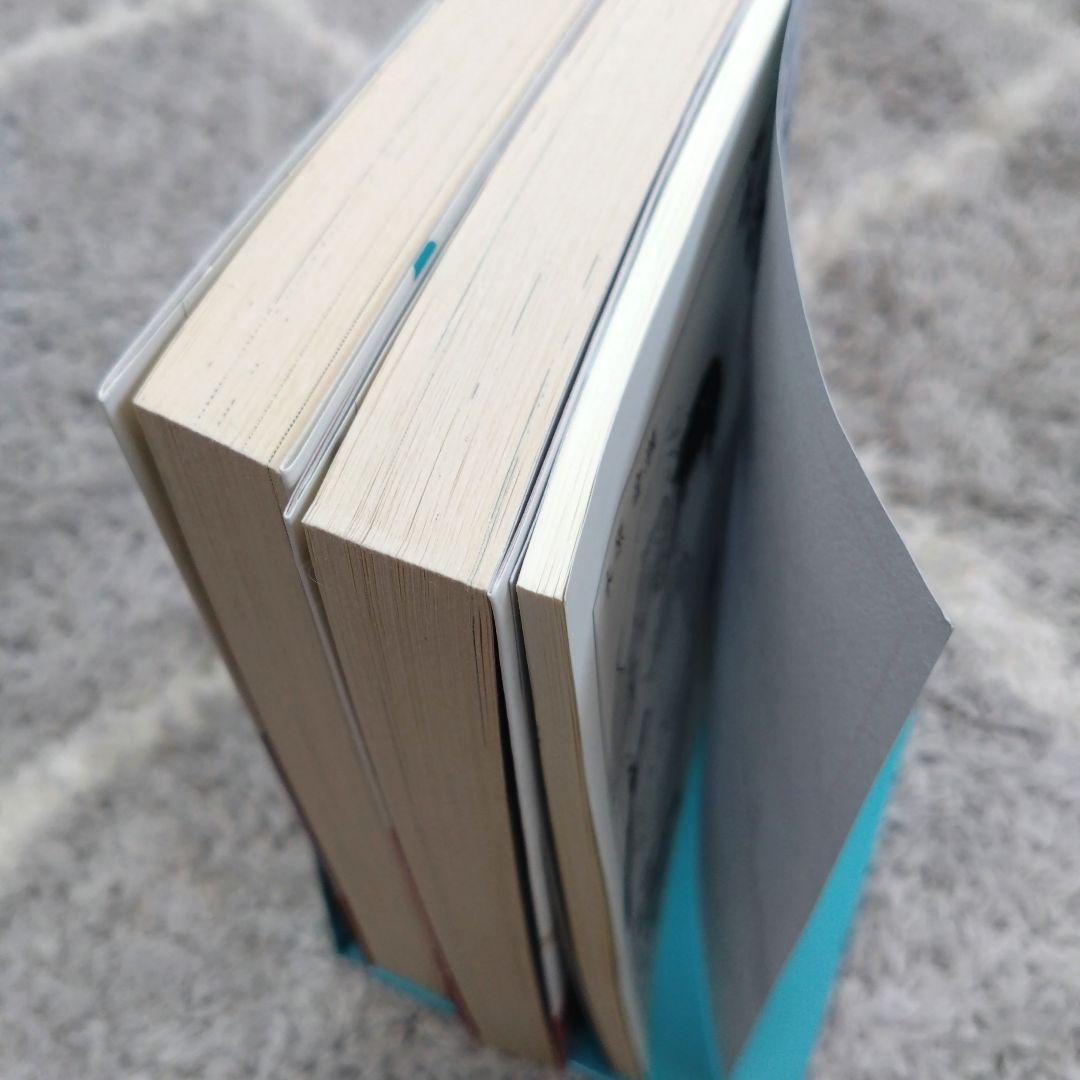 美しいこと　愛すること　木原音瀬　日高ショーコ