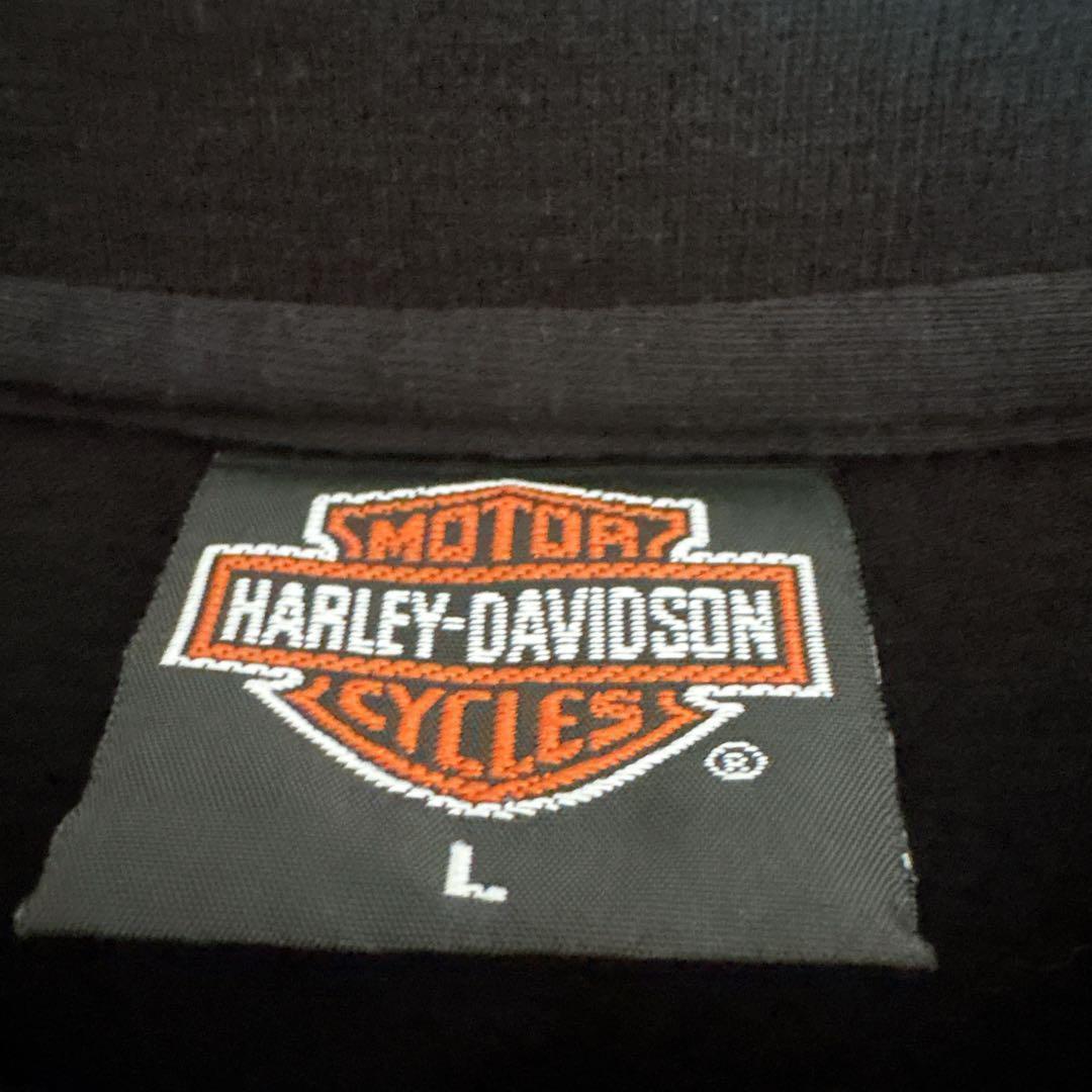 ハーレーダビッドソン tシャツ ライトニングサンダー 両面プリント L□