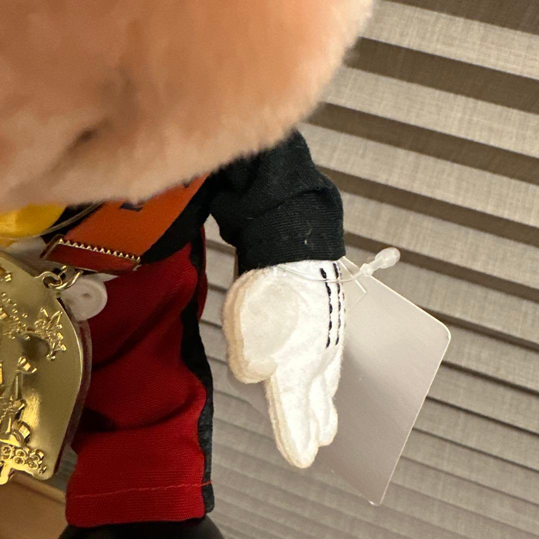 ディズニーランド　40周年　35周年　ぬいぐるみ　ぬいぐるみバッジ　3個セット