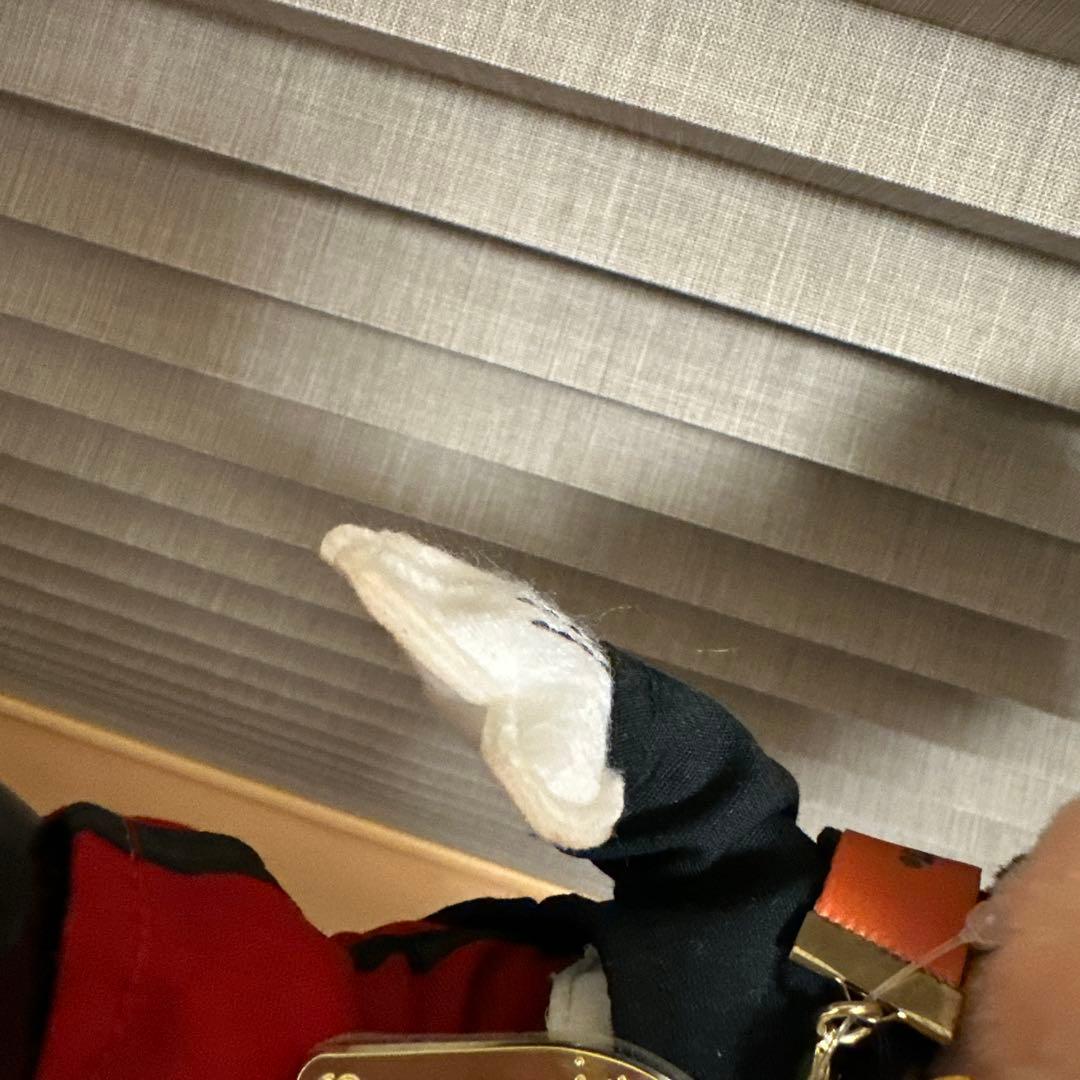 ディズニーランド　40周年　35周年　ぬいぐるみ　ぬいぐるみバッジ　3個セット