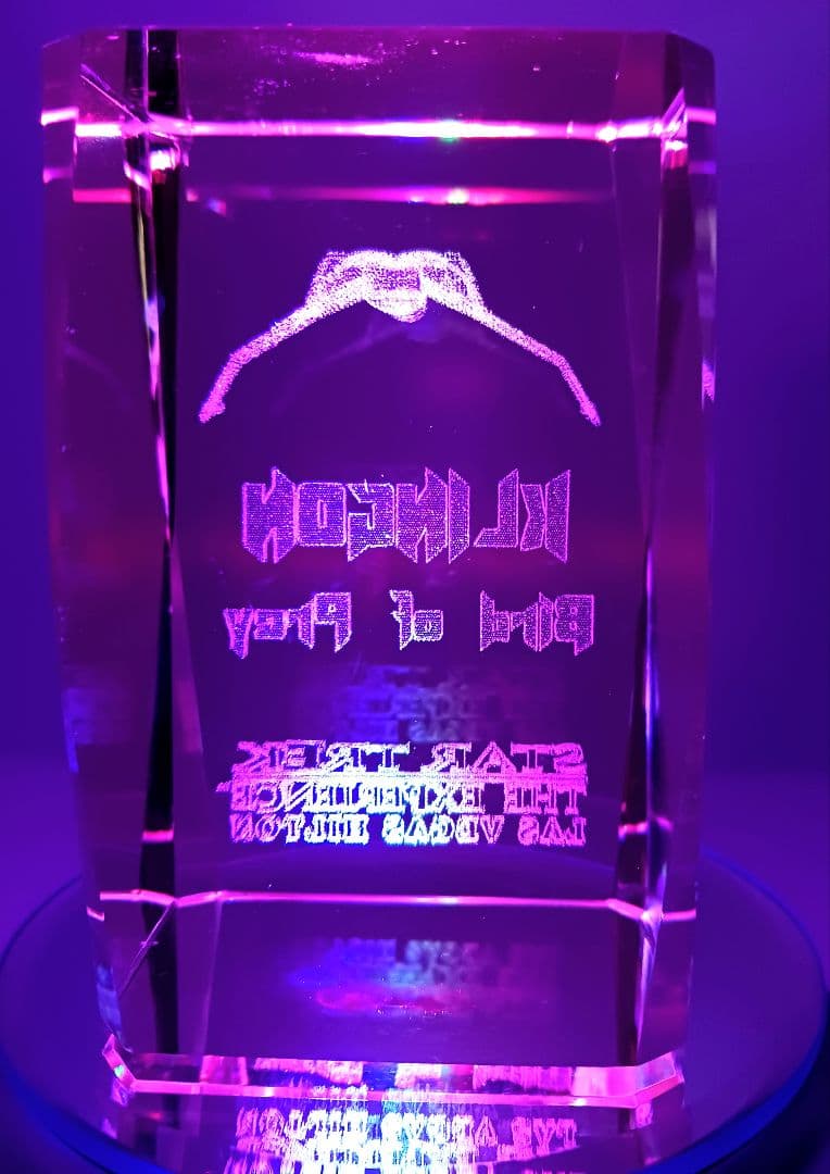 希少 スタートレック クリンゴン バード・オブ・プレイ 3Dクリスタル