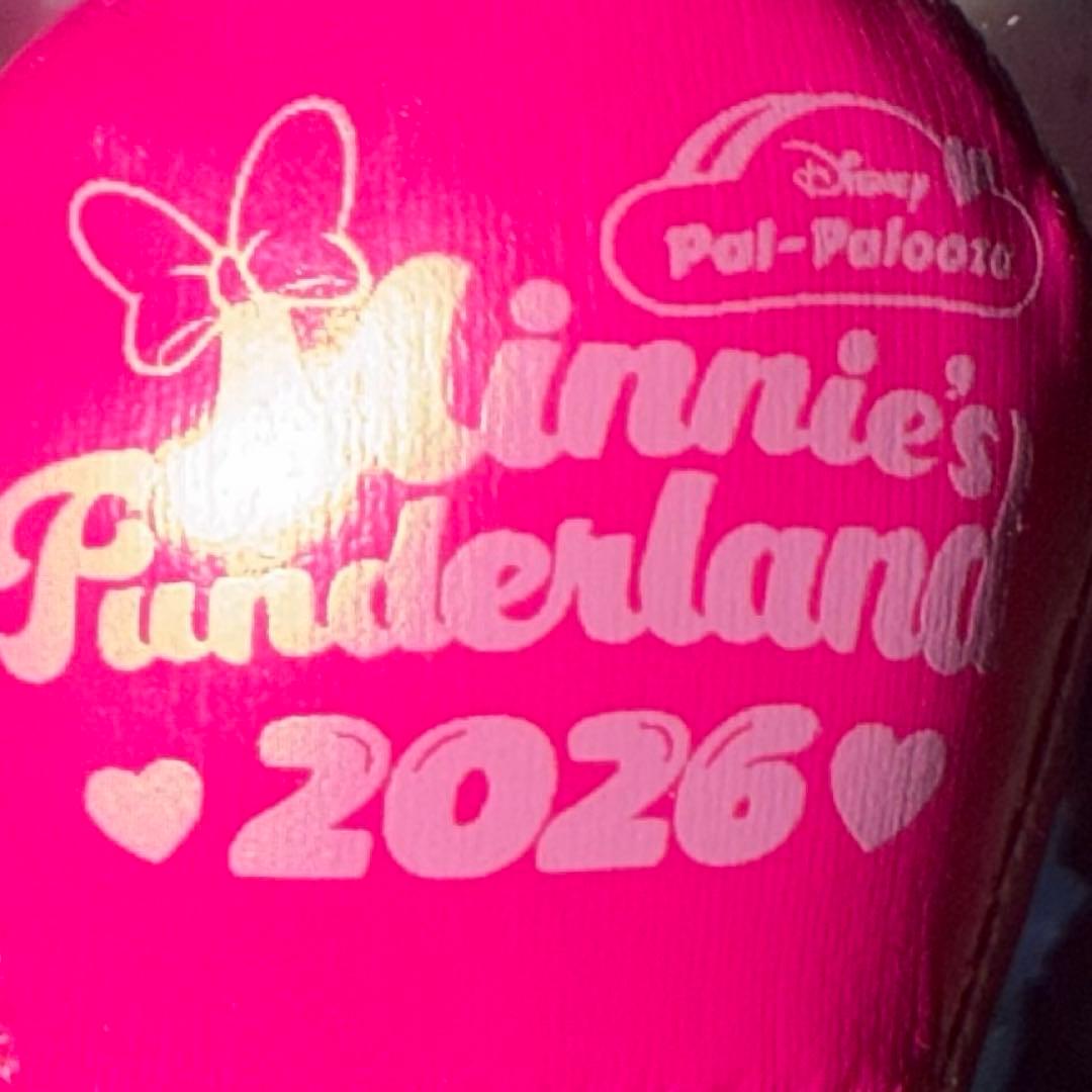最終値下げ パルパルーザ ミニーのファンダーランド ぬいぐるみバッチ 3点セット