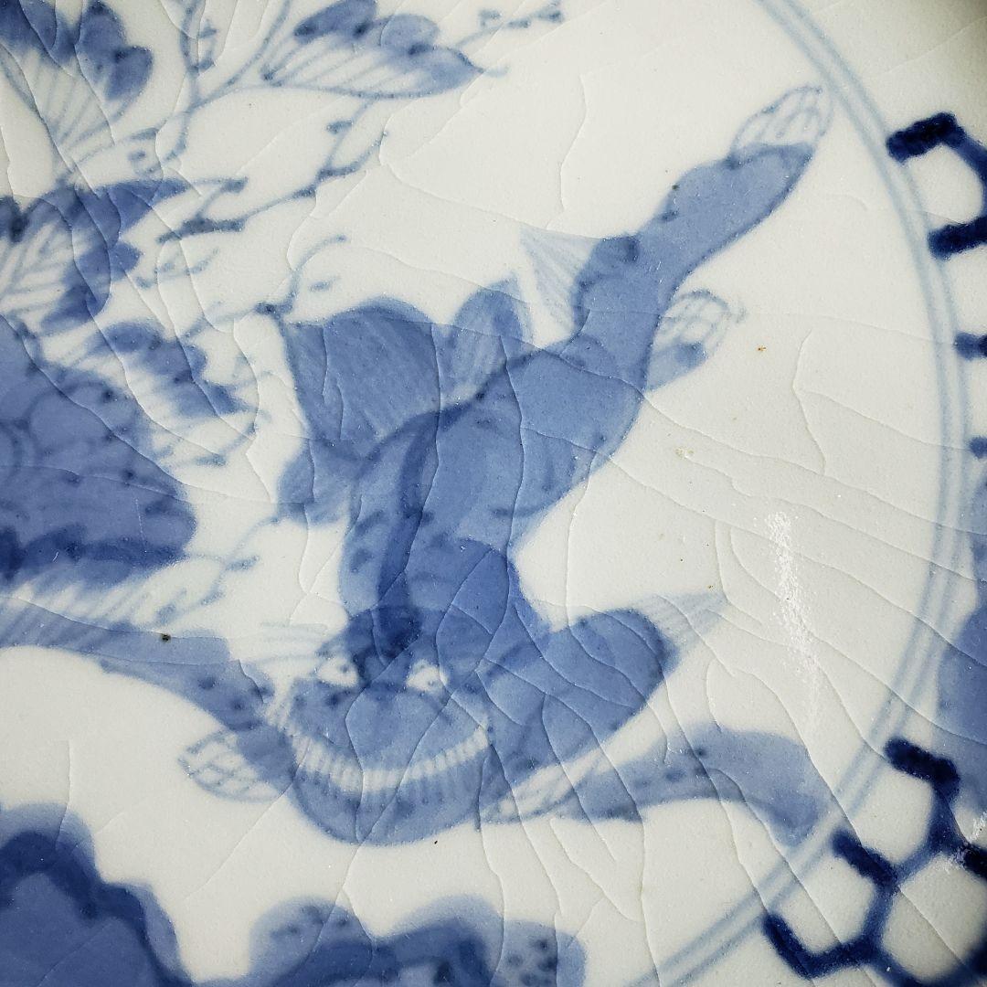 皿　染付　獅子　古伊万里　亀甲　牡丹　薊文様　江戸　訳あり　欠け直し