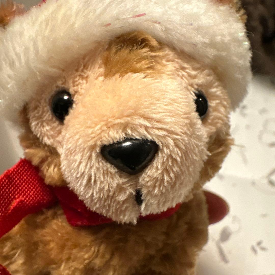 ディズニーベア マグネット クリスマス