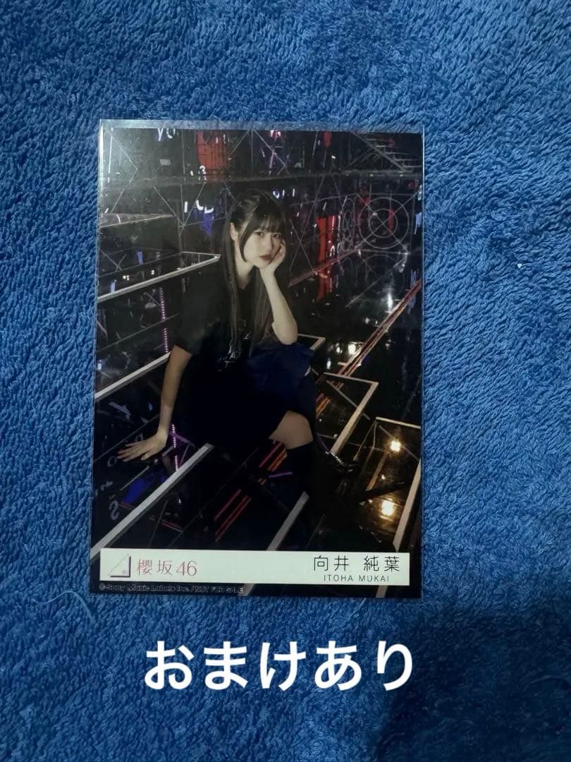 櫻坂46 向井純葉東京ドーム撮り下ろしプレミアム生写真　　おまけあり