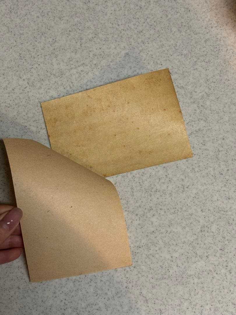 お年玉年賀切手 昭和25年 とら 円山応挙 小型シート 郵政省