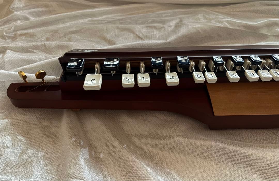 【悠弓】弓弾き大正琴 SUZUKI YTS-01 ハードケース 配送専用箱付