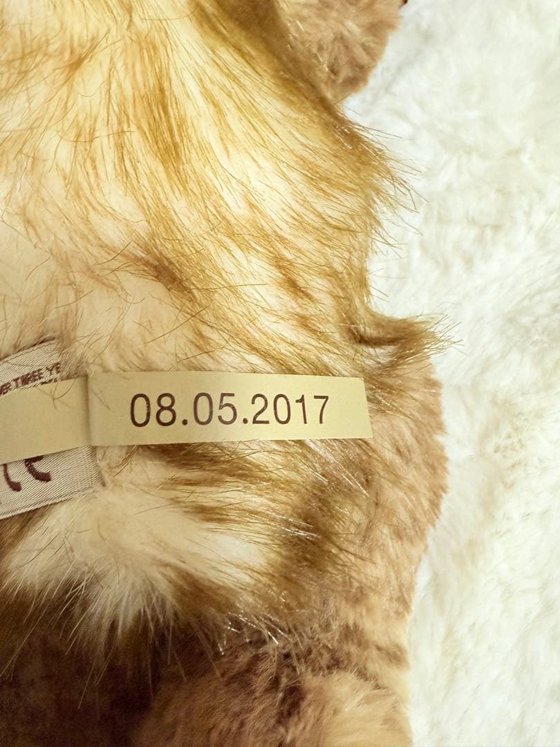 ☆チャーリーベアーズ☆Tegan☆美品♪