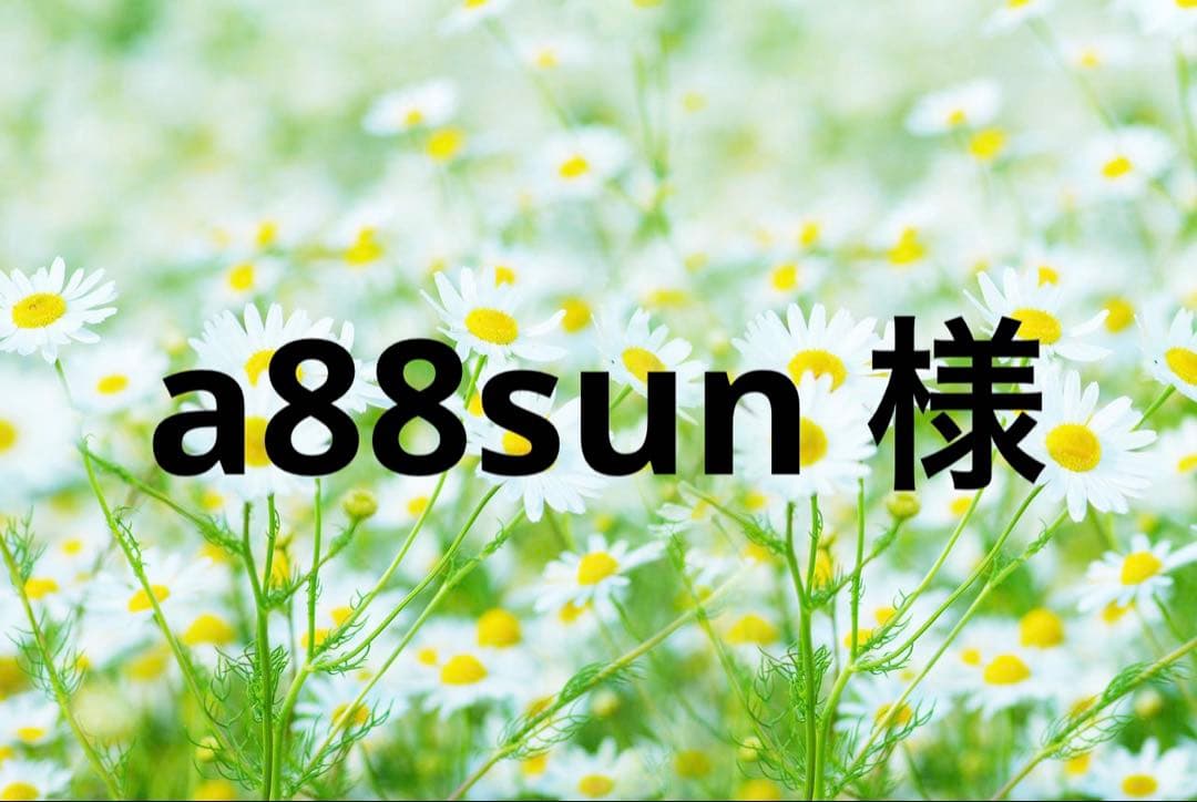 小物 a88sun
