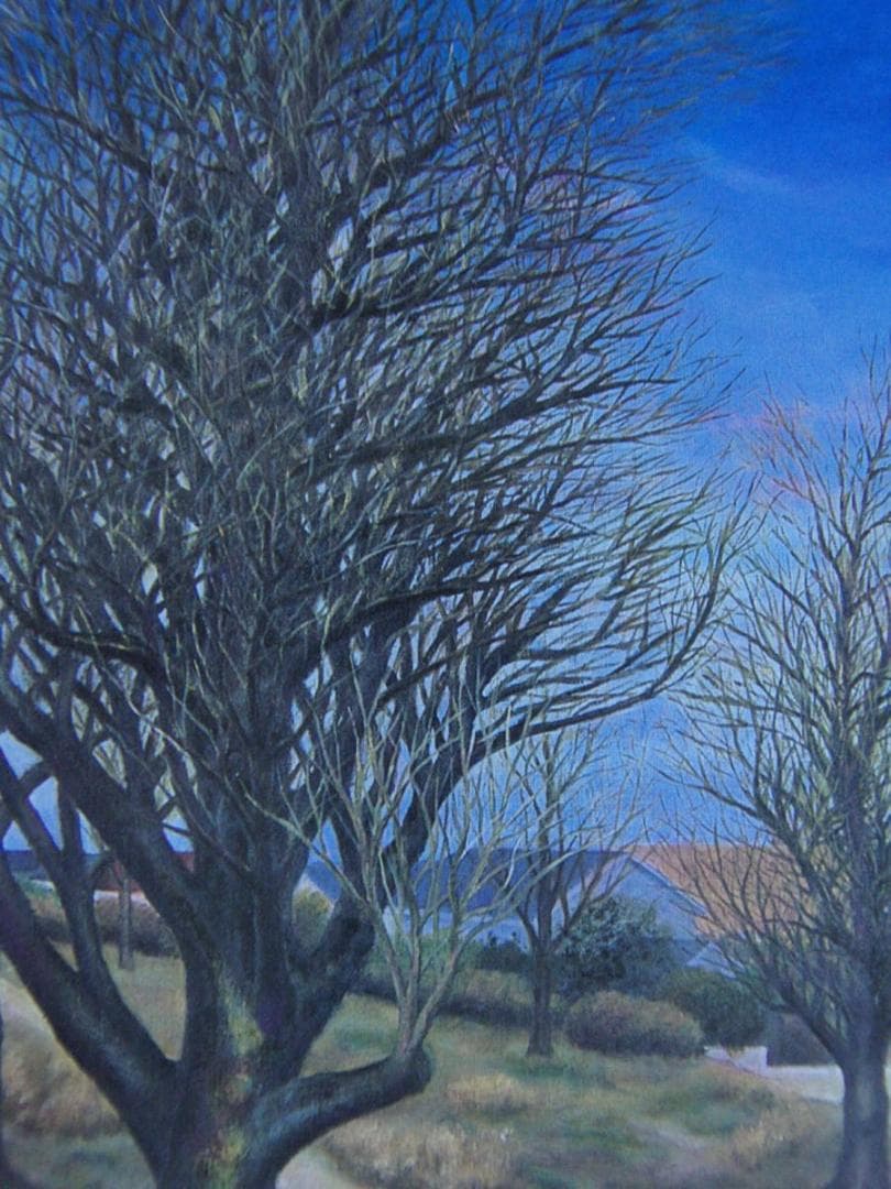 宍倉聰哉、【はつふゆ】、希少な額装用画集より、新品額装付、状態良好