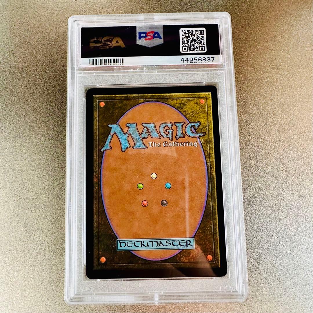 【PSA9】Foil《吹きさらしの荒野/Windswept Heath》　EXP