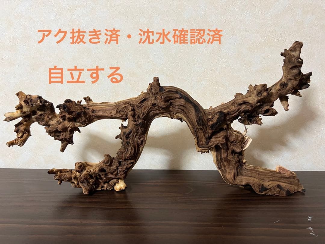 4045 流木　アクアリウム　沈水確認済　ブランチウッド