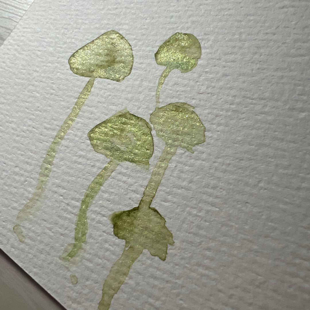 淡い緑色のキノコ 水彩画(原画)