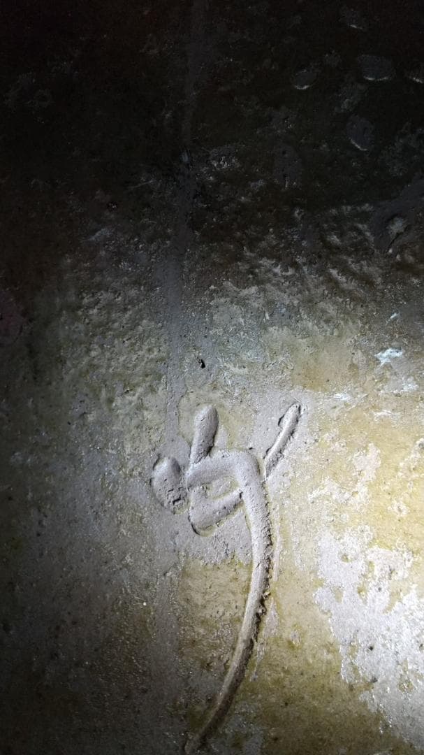 備前焼 「兼田志女子」造 花入　箱書き有木箱