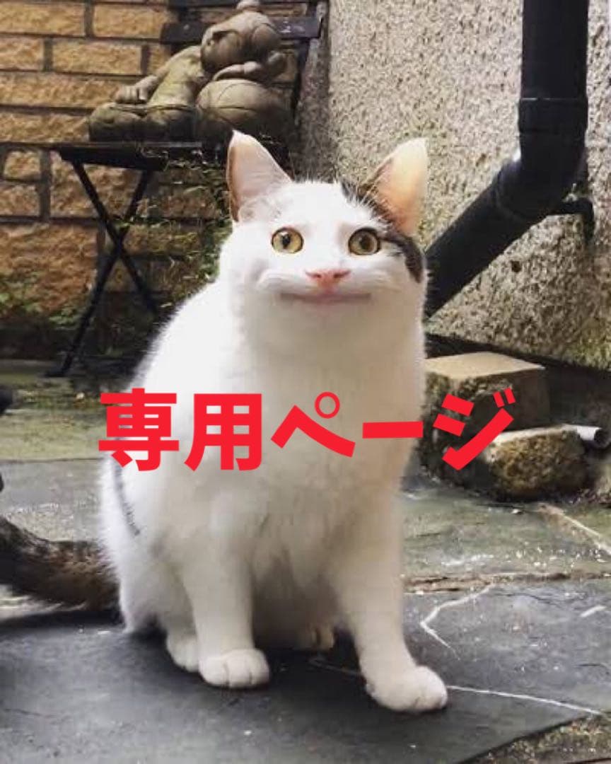 はぐれメタルページ