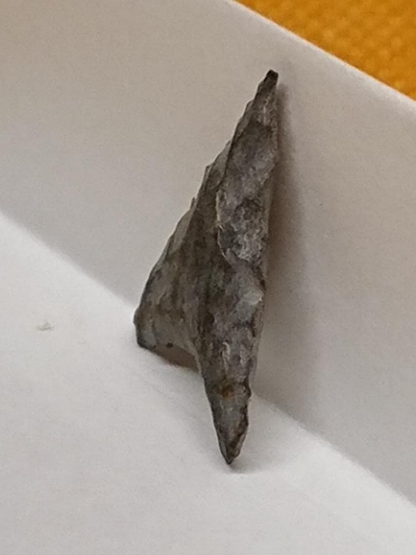 石鏃　矢じり　黒曜石　石器時代　置物　インテリア　工芸品　美術品　A1730