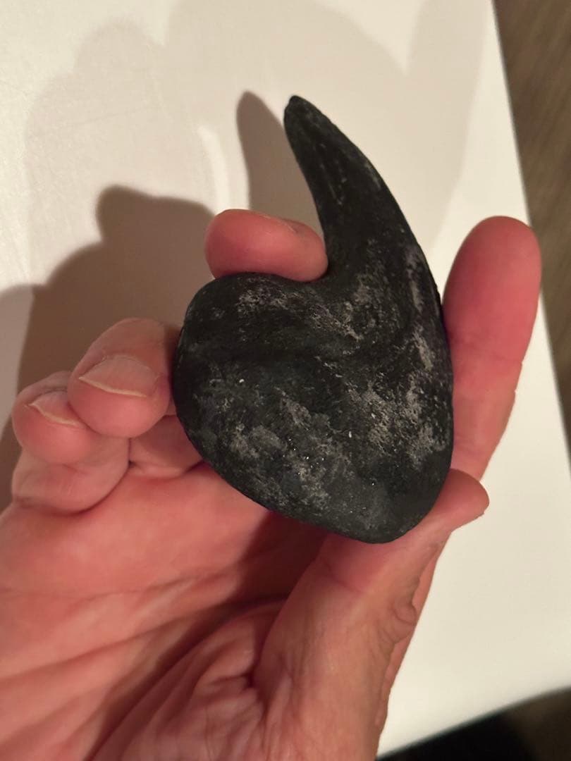 Allosaurus 化石 恐竜 ティラノサウルス カルカロドントサウルス　底値