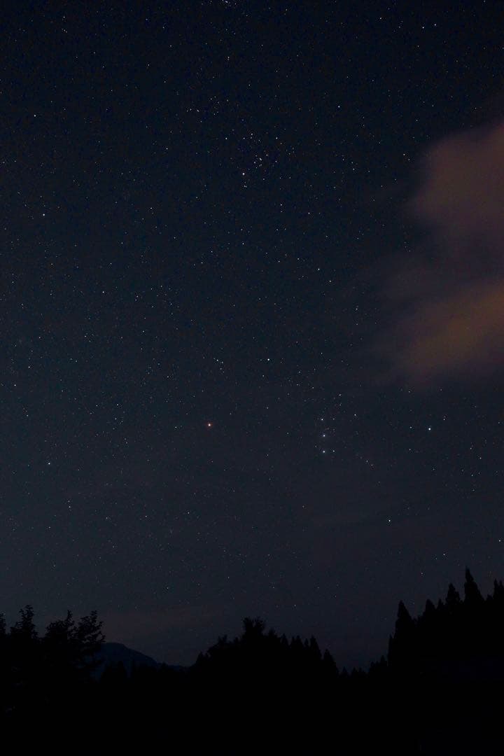 SIGMA CONTEMPORARY 20mm F2 DG DN【作成あり】