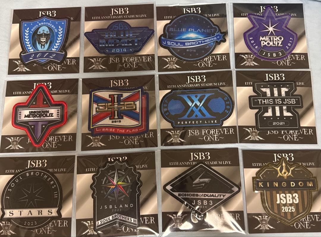 三代目　JSB FOREVER ～ONE～ ワッペン　12種類セット