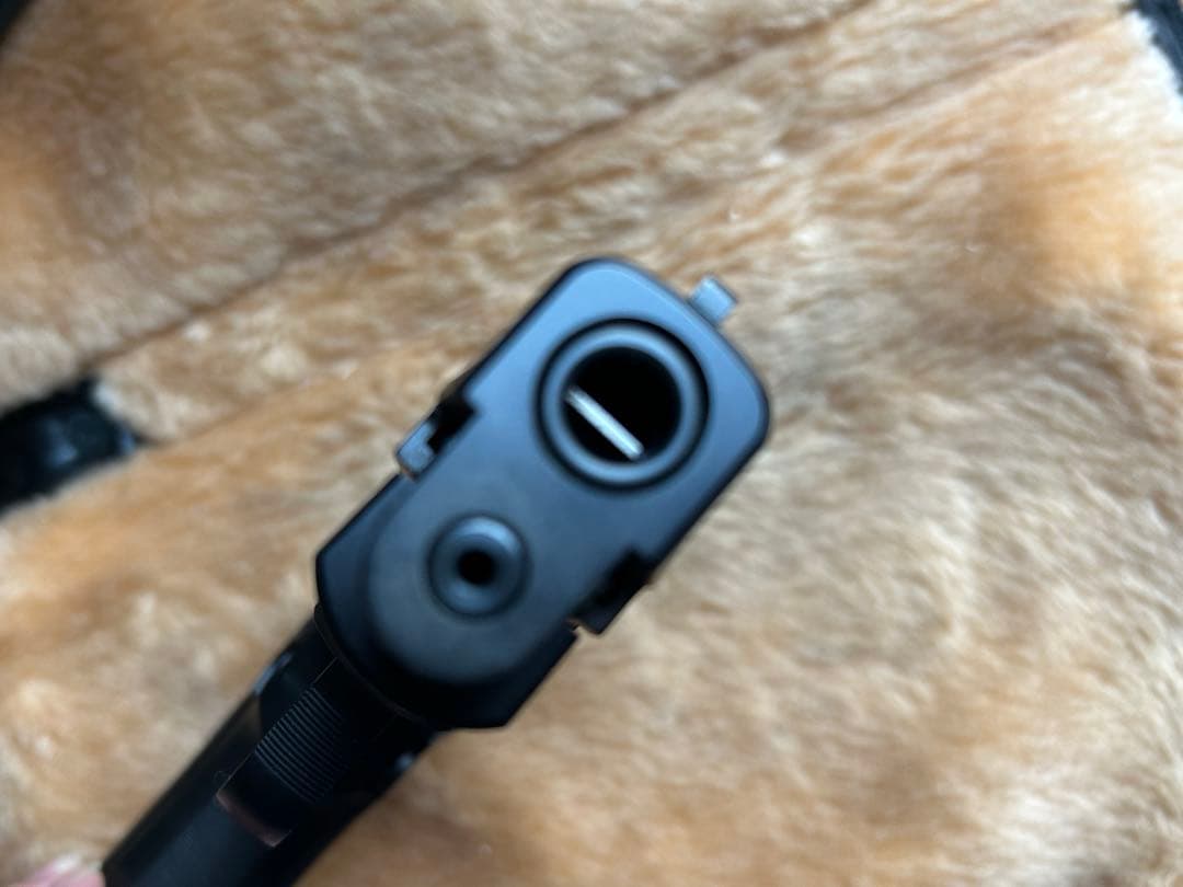 タナカ SIG P228 EVO2 frame HW