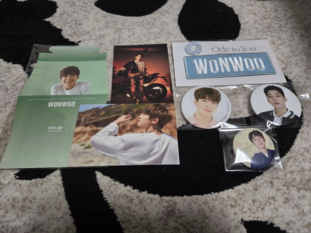 SEVENTEEN ウォヌ グッズ まとめ トレカ約100枚 Carat盤付き